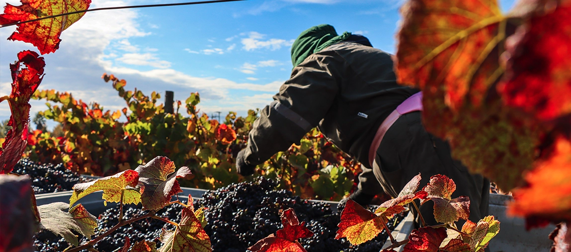 banner-pdt-casablanca